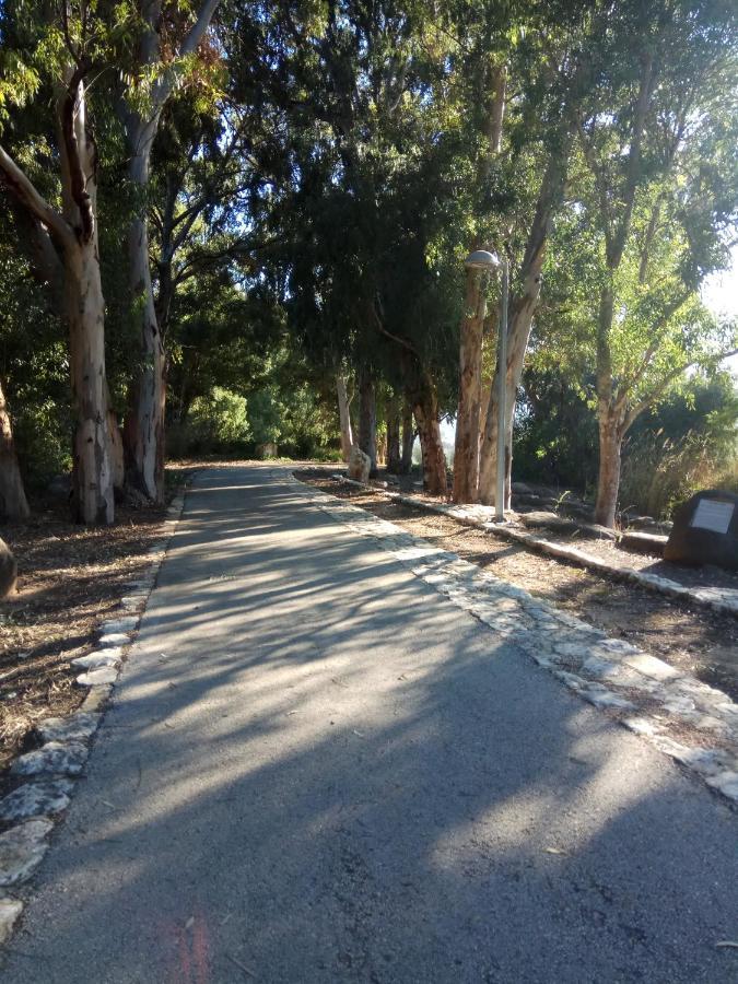אצלנו - בגליל העליון Διαμέρισμα Qiryat Shemona Εξωτερικό φωτογραφία