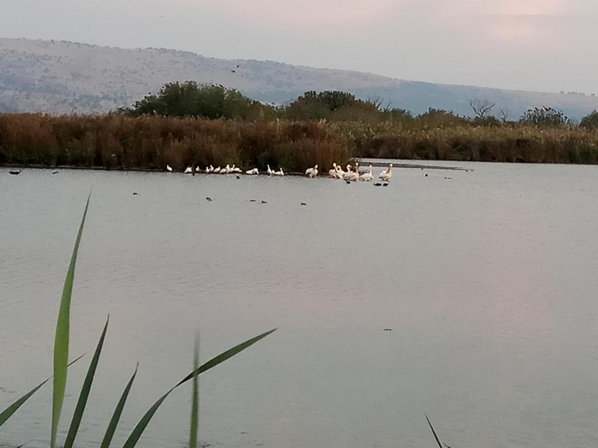 אצלנו - בגליל העליון Διαμέρισμα Qiryat Shemona Εξωτερικό φωτογραφία